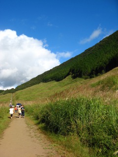 仙石原のすすき散策路を歩きがら眺める