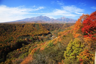八ヶ岳高原の紅葉