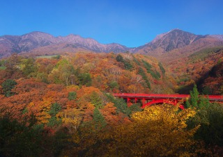 八ヶ岳高原・東沢大橋展望台からの紅葉