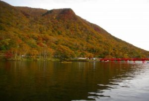 大沼湖岸の赤城神社と紅葉