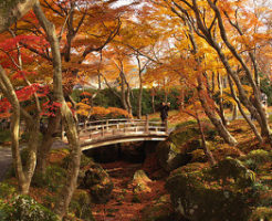 箱根美術館の池にかかる橋と紅葉