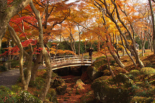 箱根美術館の池にかかる橋と紅葉